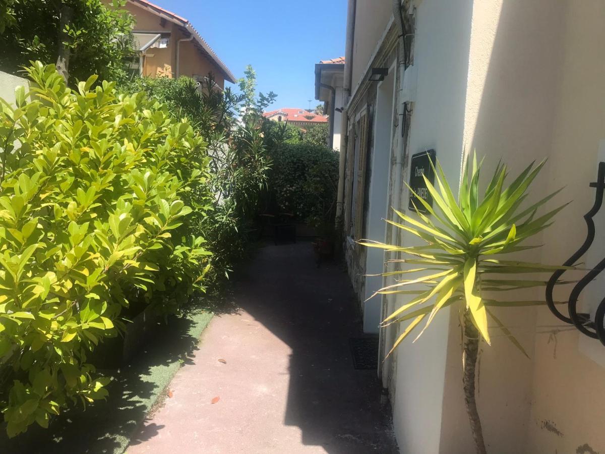 Villa Mon Reve Apartements ニース エクステリア 写真